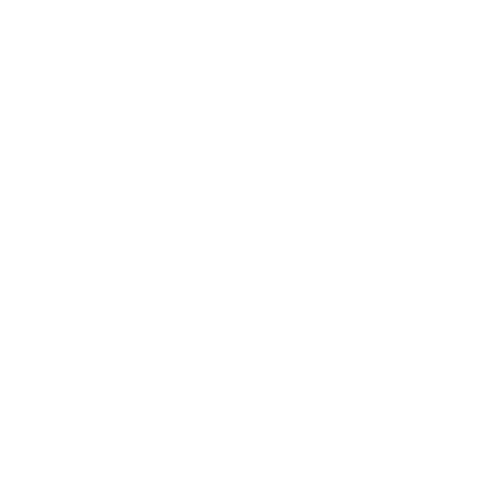 Best of the Best