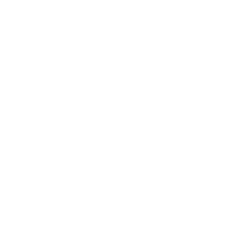 Fight for your dream