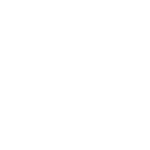 Custom The Man 